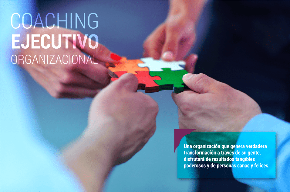 coaching ejecutivo organizacional