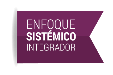 enfoque sistemico integrador